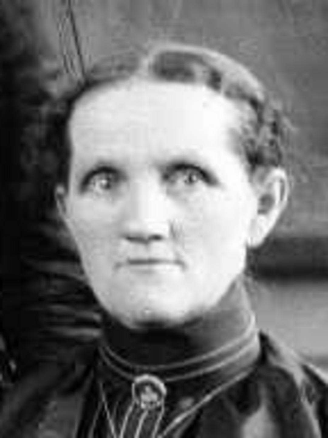 Annie Palfreyman (1854 - 1941) Profile